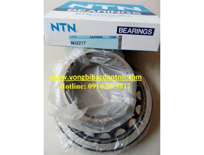 BẠC ĐẠN NU2217 - NTN